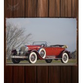 Металлическая табличка Packard Deluxe Eight Dual Cowl Phaeton (645)